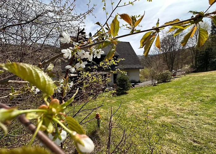 Villa Waldhaus Willingen Sauerland - Charming Villa Near Forest For 12 Guests With Huge Garden - Nearby Winter Sports Area With Ski Slope - Hiking And Nature